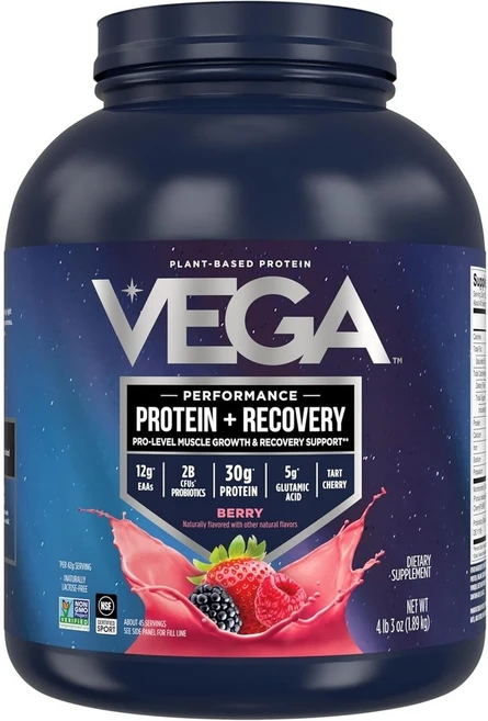 Vega Sport 비건 초콜릿 단백질 파우더, 말린 씨앗, 1개 - 쿠팡