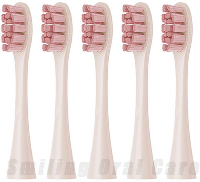 오클린 에어/원/에어 2 /SE/X/ X 프로/Z1/ F1 용 교체용 가능한 브러시 헤드 전동 칫솔 진공 듀폰 강모 노즐