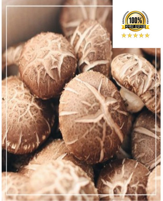 국내산 표고버섯 실속형 못난이 표고버섯, 1개, 못난이표고버섯10kg