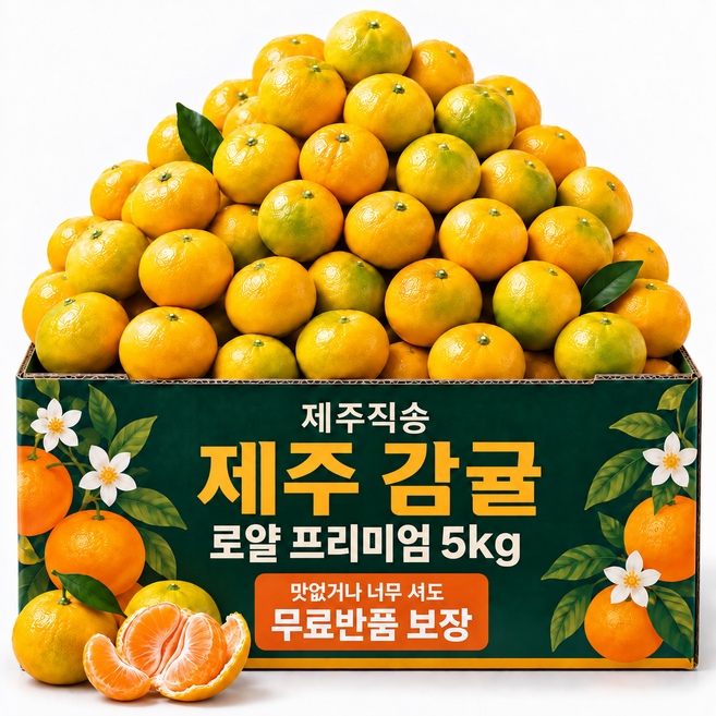 감귤 추천 BEST9 — 이렇게 고르세요 (2026)