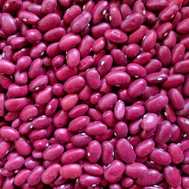 전남 곡성 산지직송 25년산 국산 햇 빨간 강남콩 국내산 빨강 강낭콩, 1박스, 2kg