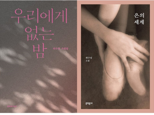 [책광장 모두] 우리에게 없는 밤＋은의 세계(위수정) 전2권 세트, 문학과지성사