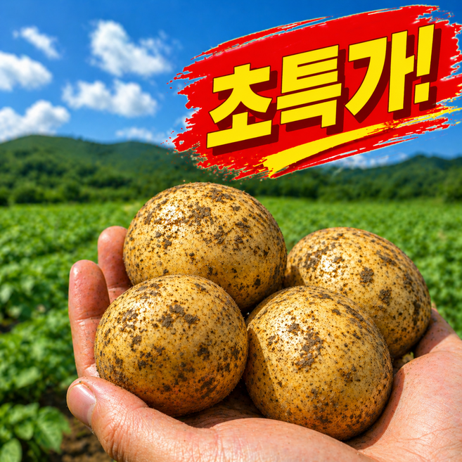[오늘만초특가] 재구매율1위 수미감자 산지직송 햇감자, 1박스, 3kg(대)
