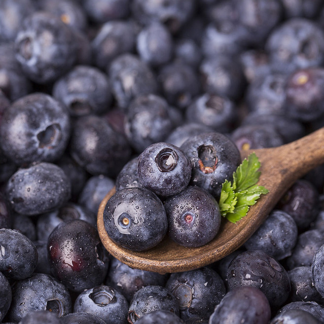 국내산 햇 블루베리 생과 1팩당100g [JCK], 1개, 블루베리 대과 16mm 이상 200g