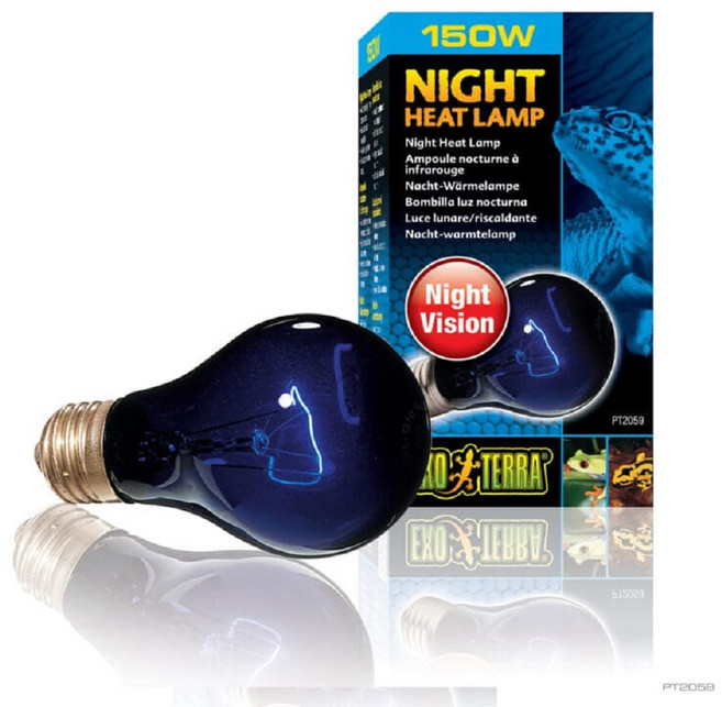 엑소테라 나이트글로우 150W 파충류 야행성램프, 1개