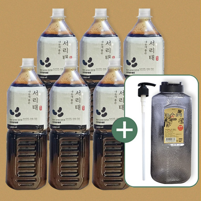 서리태 검은콩 차 액상 진액 원액 엑기스 농축액 대용량 업소용, 6개, 1L