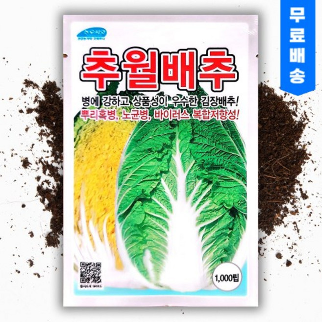 추월 김장 배추씨앗(1000립) 뿌리혹병 노균병 복합바이러스 강함, 1개