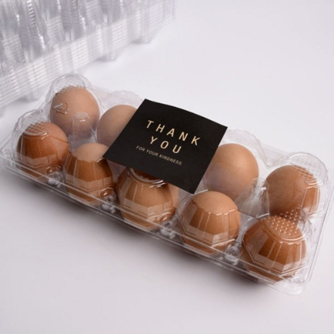 알박스 플라스틱 10구 투명계란케이스 [특란100개], 100개