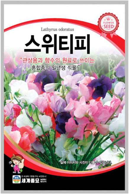 모칸도 (무배)세계 스위티피 꽃씨 10립, 1개