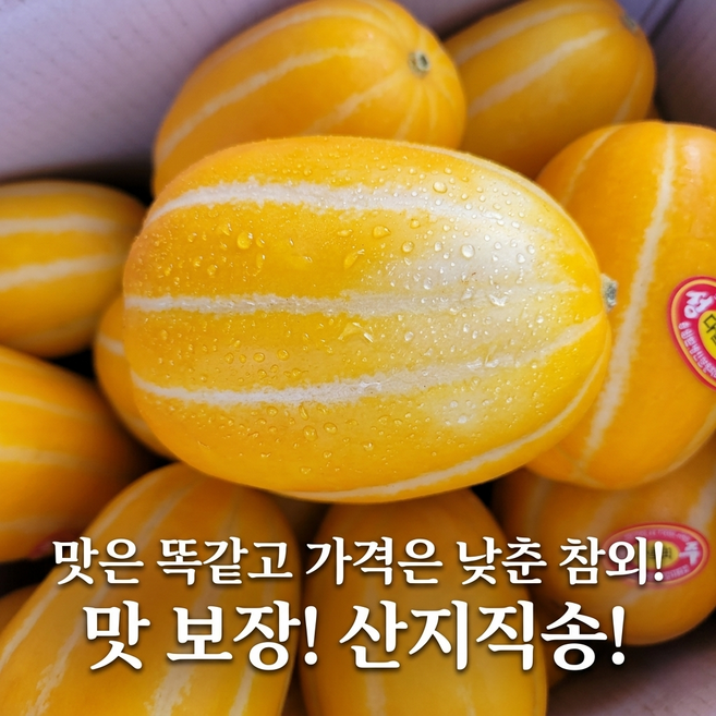 [산지직송 실속형] 아삭하고 달콤한 성주 꿀참외 (크기혼합), 1개, 랜덤과 1.5kg
