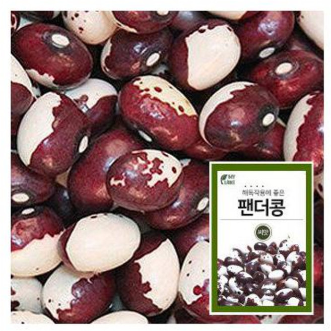 팬더콩 30g, 1개