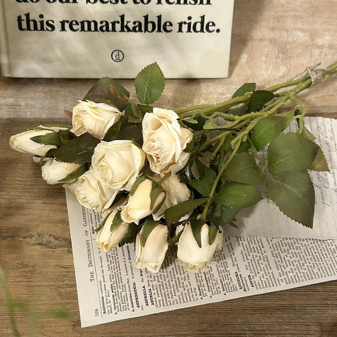 드라이플라워 미니 말린 장미 조화 로즈 꽃다발, 3개, 크림