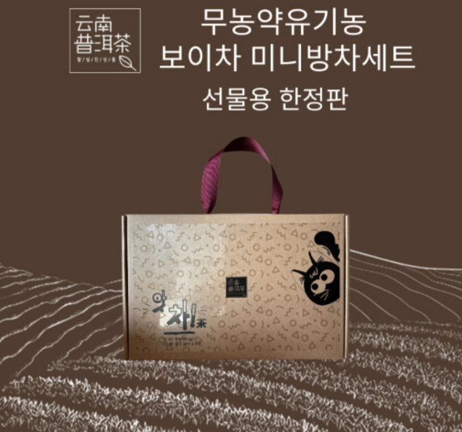 운남성보이차 중국 유기농 숙차 생차 미니방차선물세트, 1개, 1개입, 160g