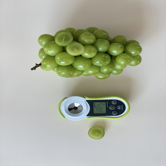 살롱푸드 산지직송 아삭 고당도 샤인머스켓 백화점 특품, 1개, 2kg