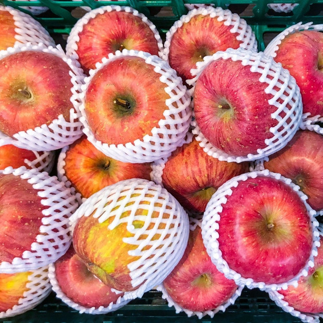 경북 청송 꿀사과 햇사과, 1박스, 4kg 중소과(16과내외) 가정용