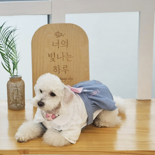 [세트구매] 이누네코 반려견 엘리스 원피스 오가닉강아지블라우스 멜빵치마 강아지맞춤옷 핸드메이드 애개룩, 1개