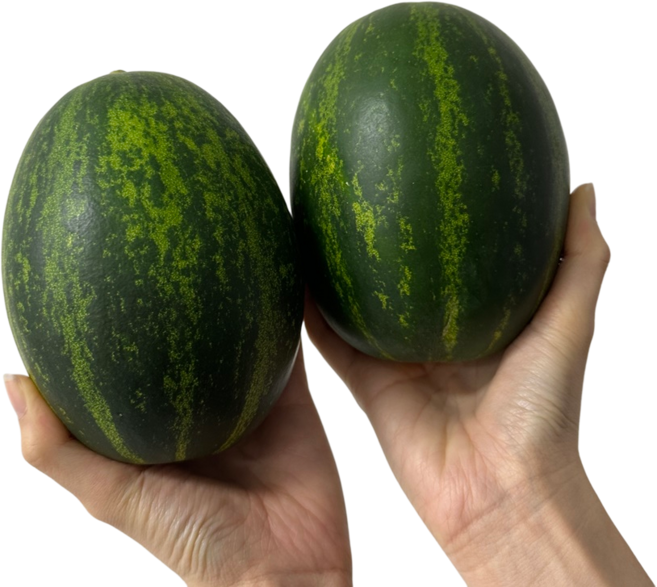 경북 고령 당도높은 새로운 맛 신선한 파파야 메론, 1박스, 5kg