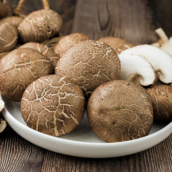 무농약 전라도청년 농장직송 생 표고버섯, 1박스, 3kg(상품)