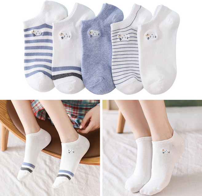 보리보리 여성용 패션 귀여운 패션 단목 양말 5켤레 세트