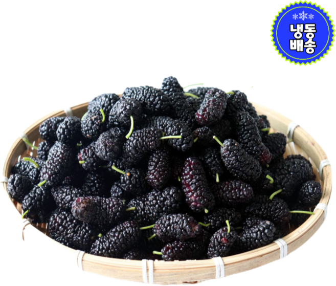 [프레쉬뉴] 산지직송 국산 고창 토종 오디 생과 열매 냉동 급냉 햇 생 오디 과일, 1박스, (냉동)토종오디 5kg(상)