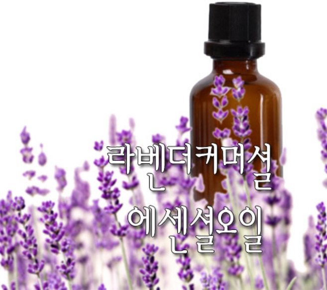 허니솝 라벤더커머셜 아로마 에센셜오일, 라벤더커머셜 에센셜오일 100ml, 1개