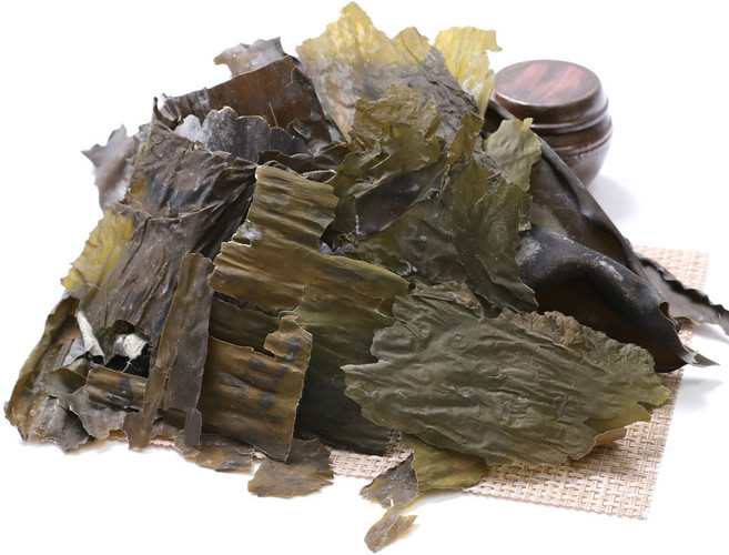 백송식품 파지다시마 1kg, 1개