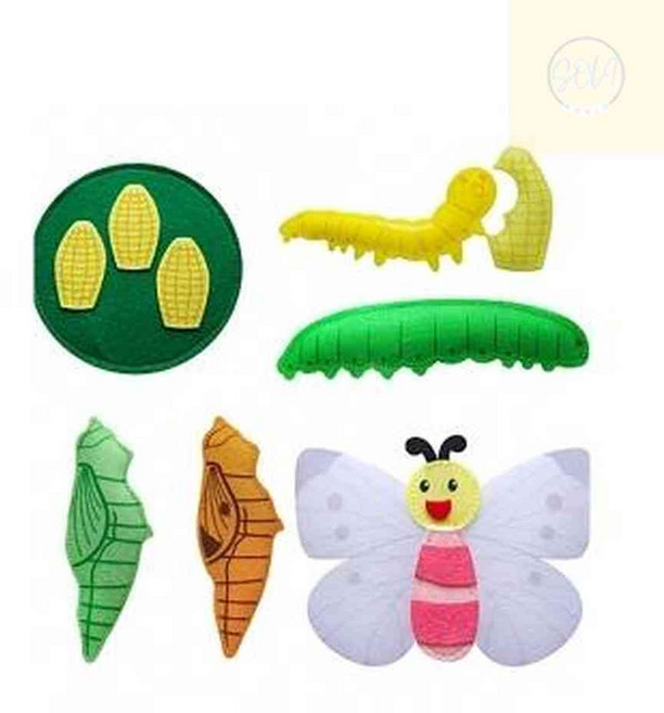 솔이월드 교육자료 동물의 한살이-배추흰나비 1개입 곤충한살이