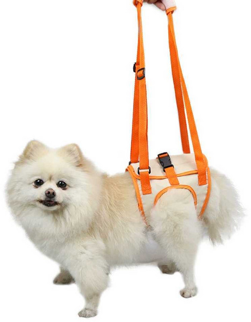 재활 강아지 하네스 뒷다리 보조 수술 요통 후지마비 노견 오렌지 베이지 S, 오렌지 베이지 L, 1개