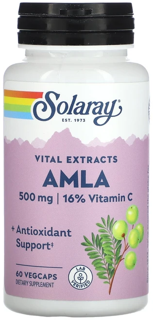 몸관리하세요 겨울입니다 Solaray 필수 추출물 AMLA 500mg 베지 캡슐 60정 특별관리진행, Solaray필수추출물AMLA500mg베지캡슐60정, 1개 - 쿠팡