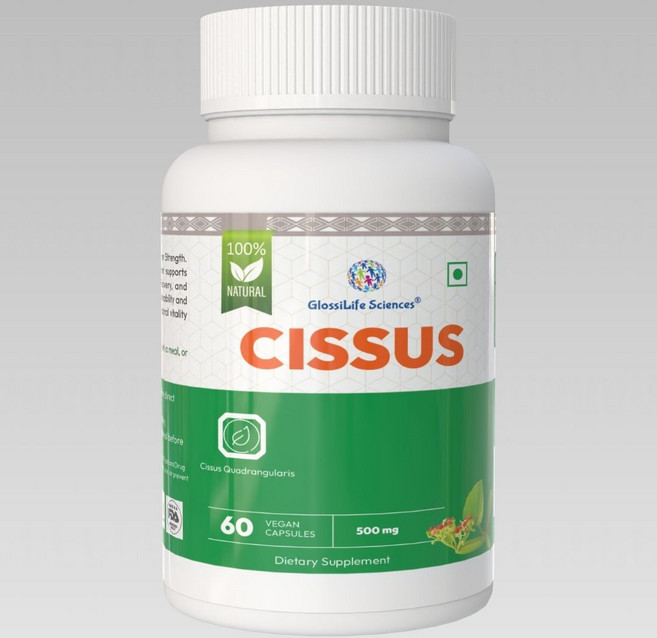 Cissus 500mg Capsule Equal to 5000mg, 2개, 60정
