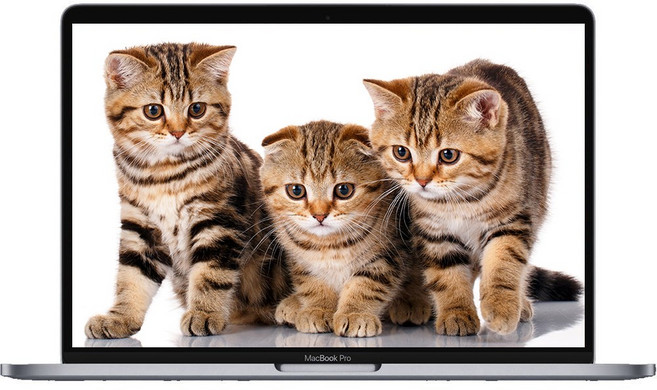 중고 인텔 CPU 애플 맥북프로 2019 A1990 15.4인치 터치바 스페이스 그레이 i9-9980HK/32G/SSD 2TB/Radeon Pro Vega 20, 맥북프로 A1990, MAC OS, 32GB, 2TB, 스페이스그레이