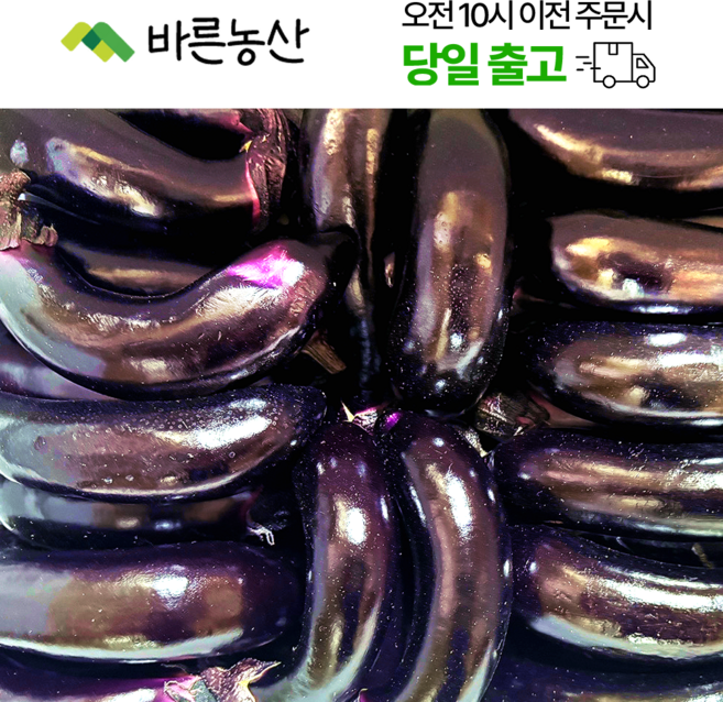 < 바른농산 > 국내산 햇가지 못난이 상품, 1개, 1kg