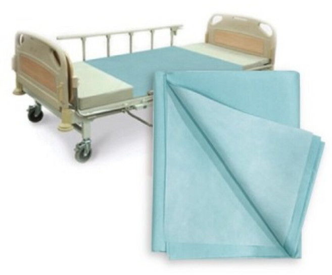 노인 환자용 고급 방수패드 블루 (L 대형 250cm x 150cm), 1개