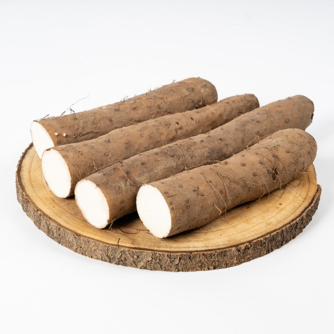 안동 마 장마 생마 참마, 장마 상품 3kg, 1개