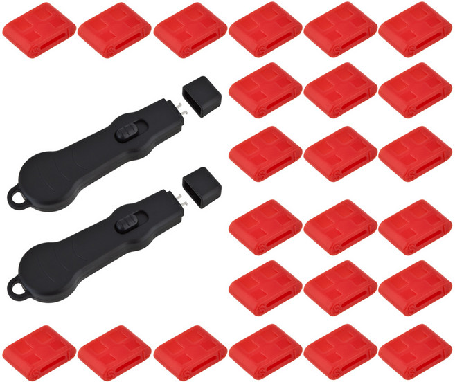 MAINE USB TYPE-C Pro 포트락 잠금장치 키2 잠금알24(레드) ctypel224rd, 02 레드(키2+ 잠금알24개 세트)