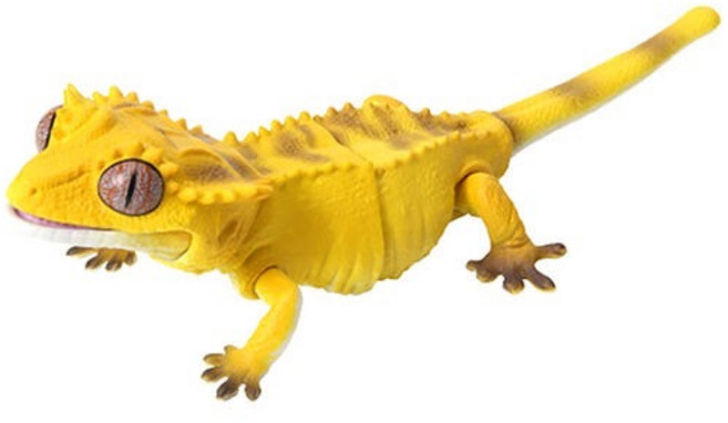 BANDAI 生物大圖鑑 睫角守宮 轉蛋, 1個, 1.黃色