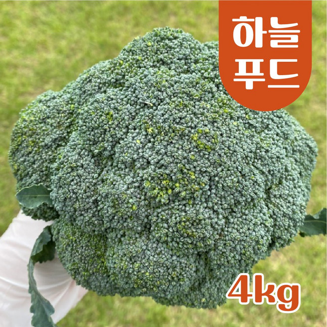 (1kg 2kg 3kg 4kg/Box) 수입 브로콜리 브로컬리 식자재[원산지:중국], 4kg, 1개