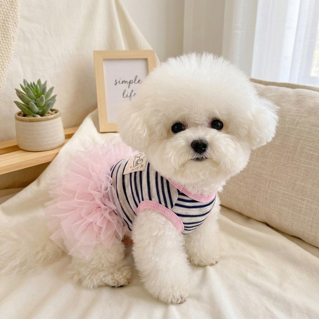 코어엑시스 강아지 스트라이프 원피스 고양이 튜튜 치마 여름 얇은 소형견 옷, 1개, 핑크(여아용 드레스)