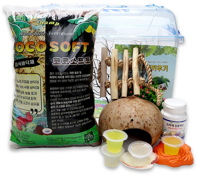 소라게키우기 세트 (특대) 12가지필수구성, 1세트