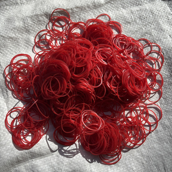 HY 橡皮筋 No. 16 綑綁適用 耐用不易斷裂, 1個, 1kg 紅色