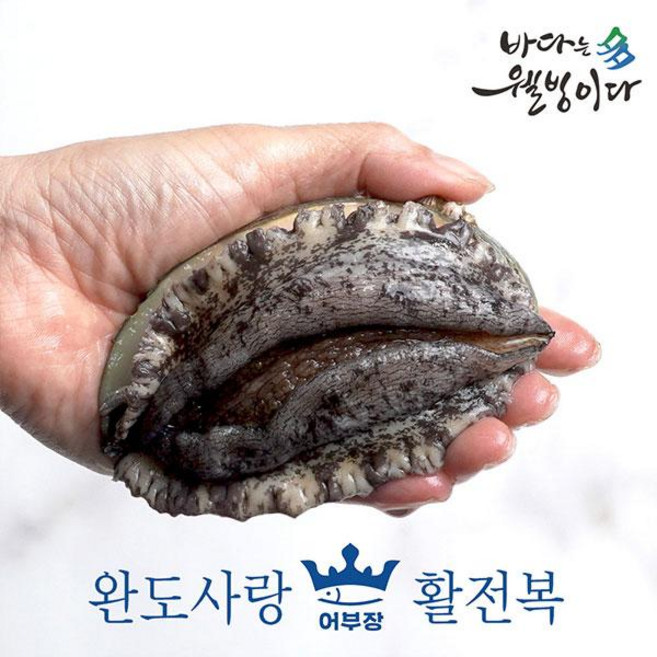완도사랑 활전복1kg(10~12미), 1개, 단품