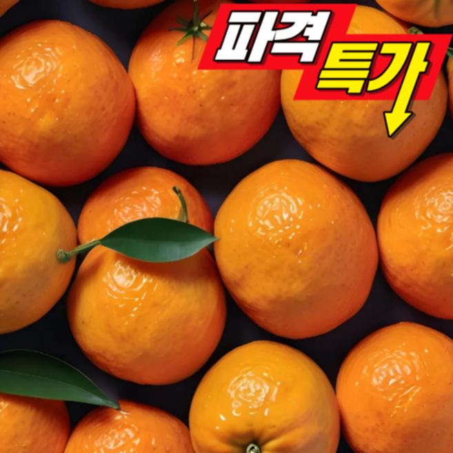 한끼밥상 가정용 레드향 2.5kg 중과 (10-12과 내외), 10개, 1kg