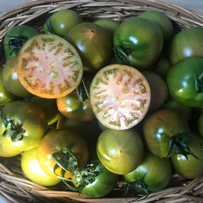 스위티크 대저 짭짤이토마토 고당도 특품 산지직송, 1박스, 2.5kg(M과)