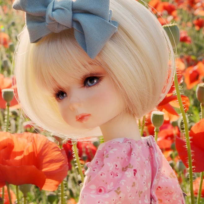 돌모아 구체관절인형 몽아돌 27cm 몽아 Mona Doll - Florelune Mong-a - LE10(메이크업포함 옷가발신발안구포함), 1개, 노멀스킨