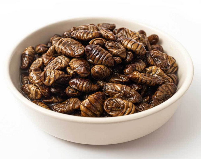 고소한 간식 냉동번데기 1kg 술안주 반찬 고단백 옛날그맛