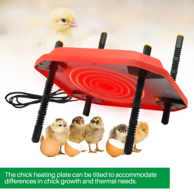 전기 병아리 보온판 높이 조절 가능 병아리/닭 보온기 조절 가능한 병아리 사육장 히터 온도 조절기, 02 UK Plug