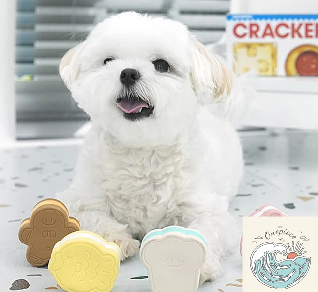 밀짚모자 상단 패리스독 크림쿠키 라텍스토이 12개 과자모양 강아지용품 강아지장난감, 12EA - 쿠팡