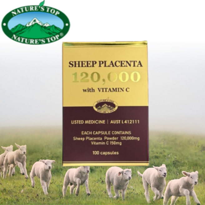 네이쳐스탑 프리미엄 양태반 120000 플라센타 호주 직구, 1개, 120정