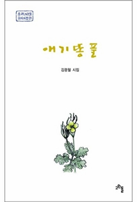 애기똥풀:김광철 시집, 고인돌, 없음