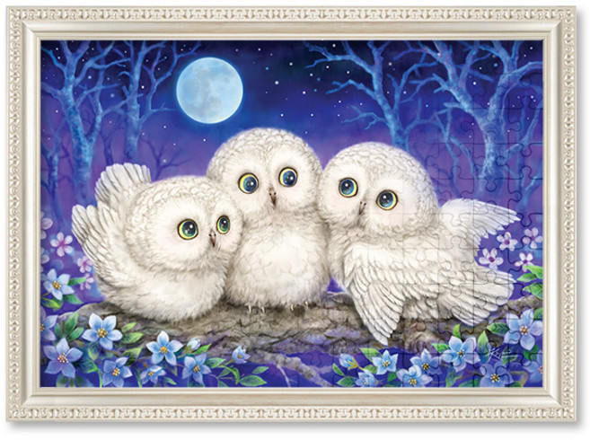 1000피스 직소퍼즐+액자세트 - 호기심 가득한 밤(액자포함), 1개